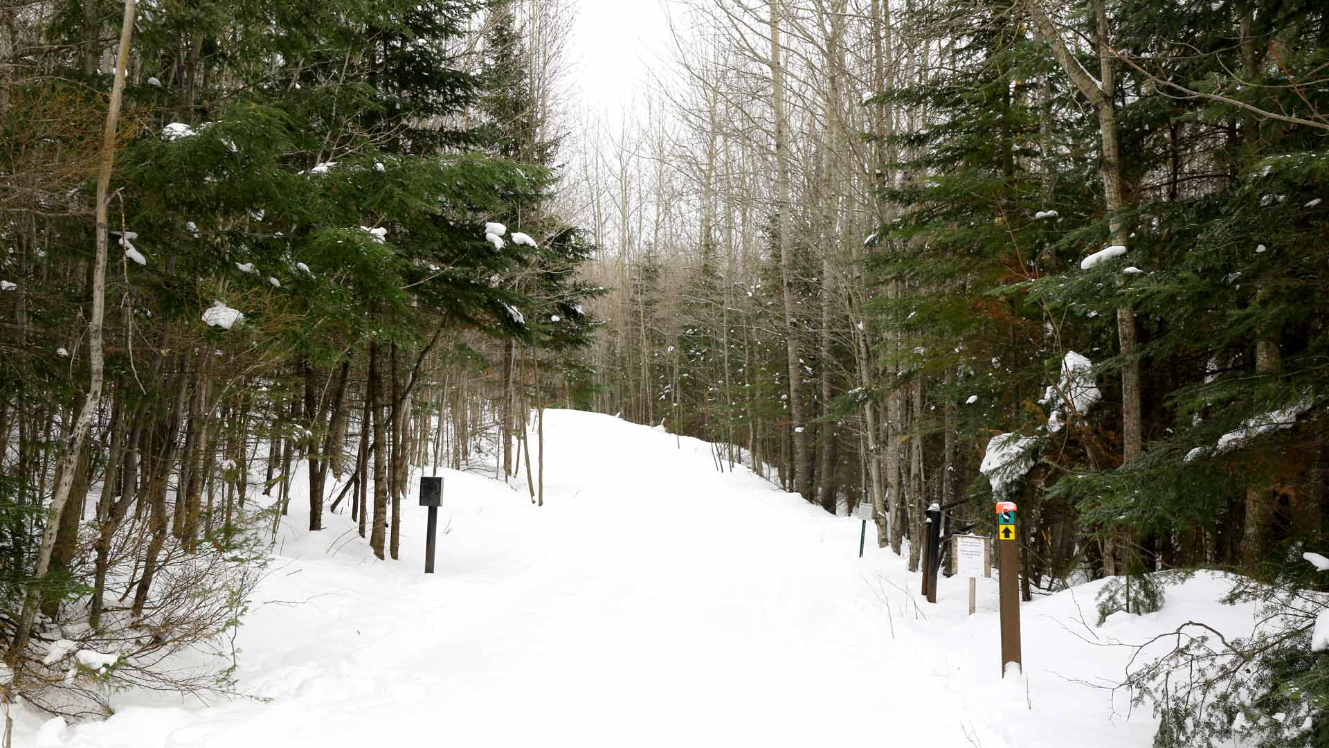 Winter path through the woods of Catherine Wolter Wilderness Area in Vilas County, Wisconsin