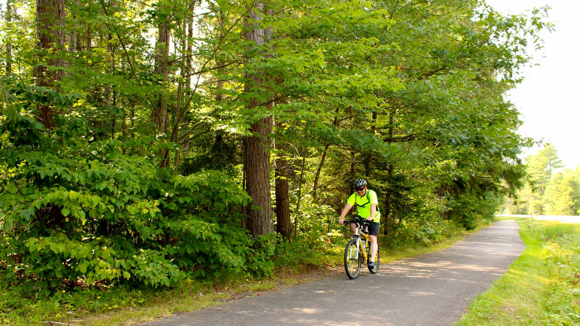 Cyclist riding through the forest of Heart of Vilas Sayner Trail in Vilas County, Wisconsin