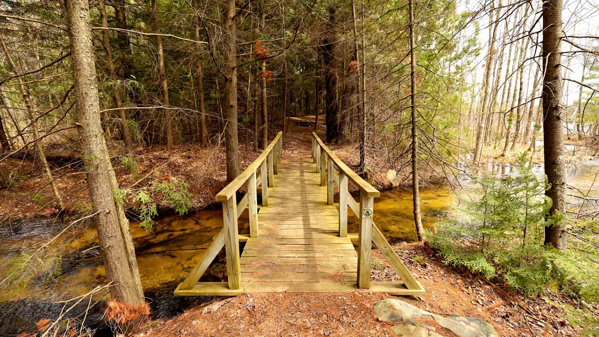 Bridge over a river in the woods of Hidden Lakes Trail in Vilas County, Wisconsin
