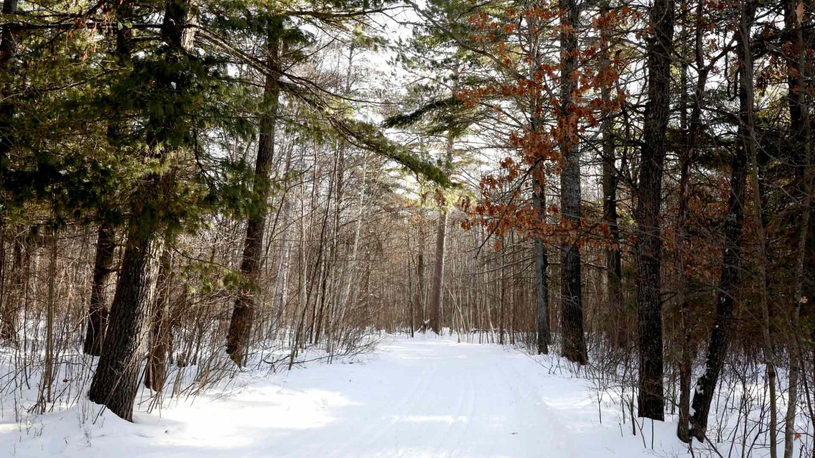 Public-access lakes where you can boat, canoe & kayak in Vilas County ...