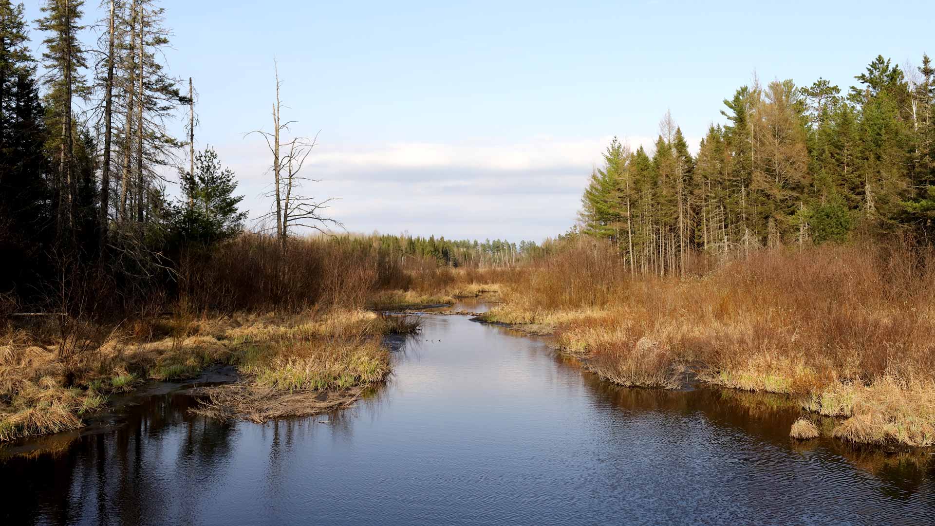 Muskrat Creek Trail in Vilas County, Wisconsin
