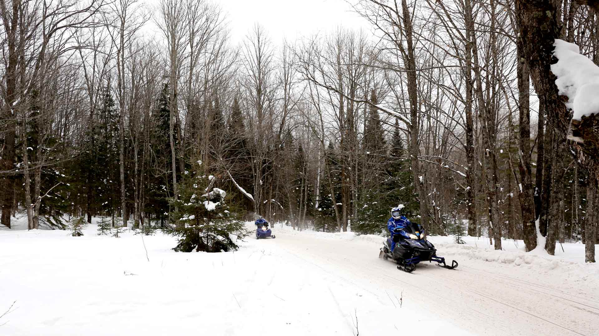 Snowmobilers riding through forest of Conover Sno-Buddies Trails in Vilas County, Wisconsin