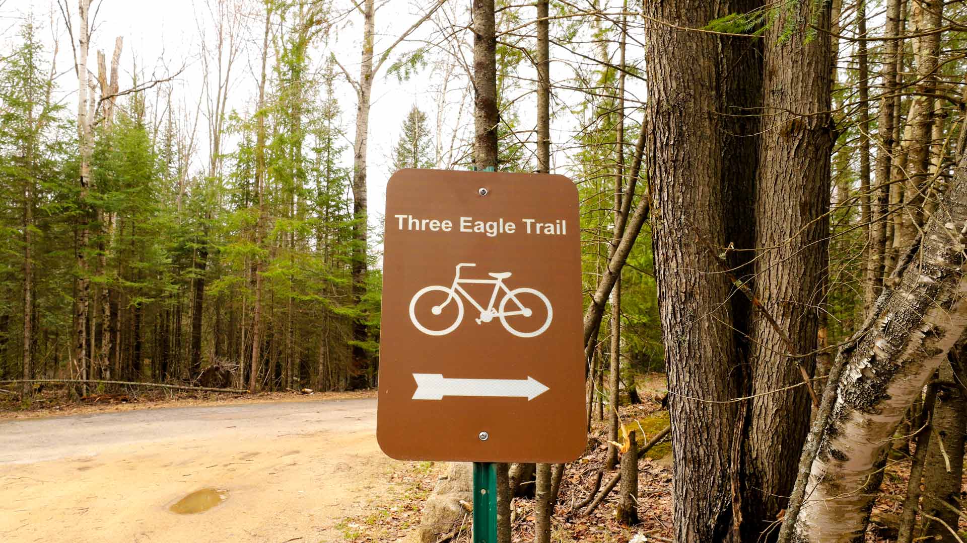 Brown sign with bike graphic in front of forest of Three Eagle Trail in Vilas County, Wisconsin