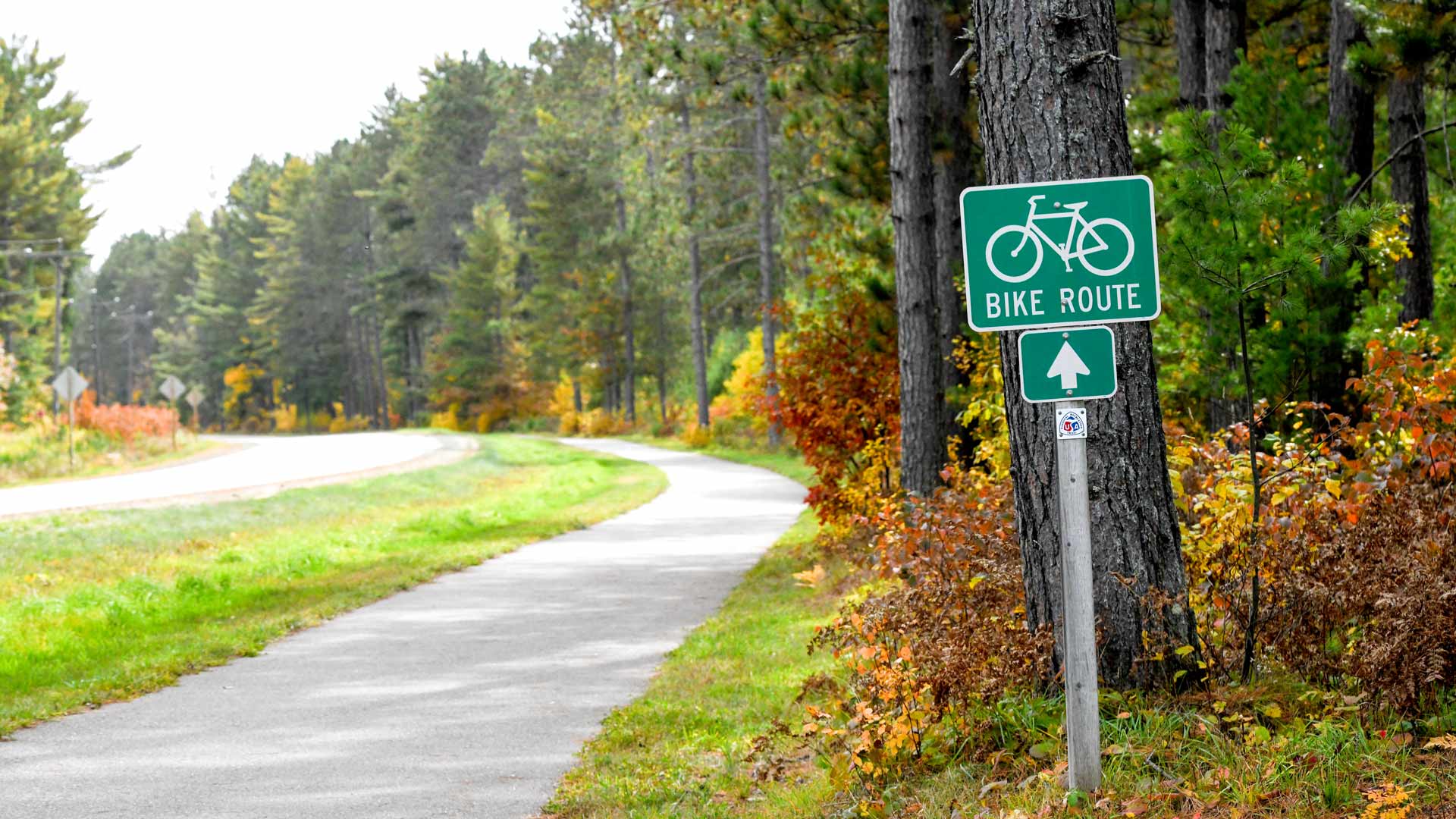 Bike path through forest of White Deer Bike Loop in Vilas County, Wisconsin
