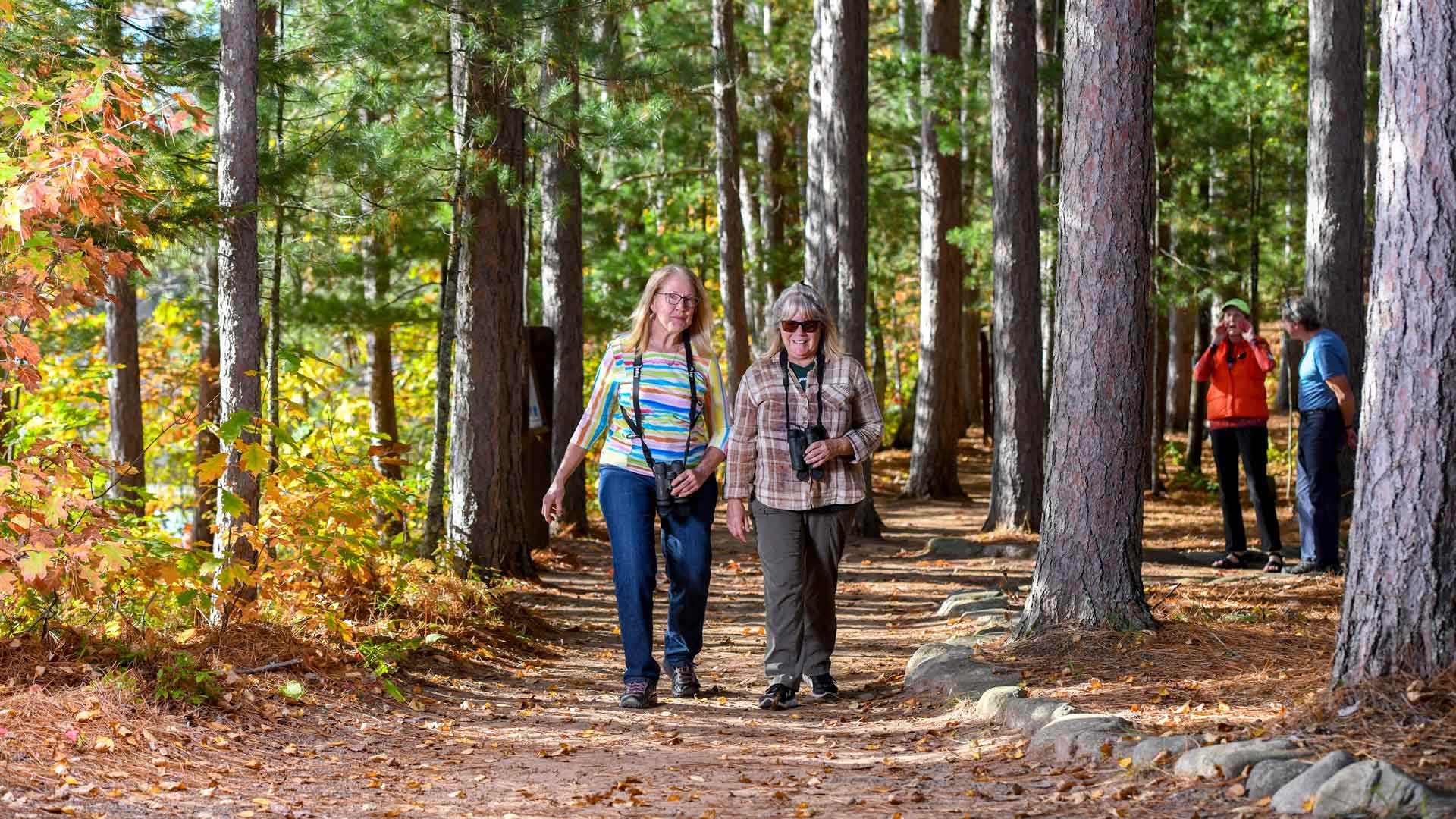 Pair walking on fall forest path of North Lakeland School Nature & Cross-Country Ski Trail System in Vilas County, Wisconsin