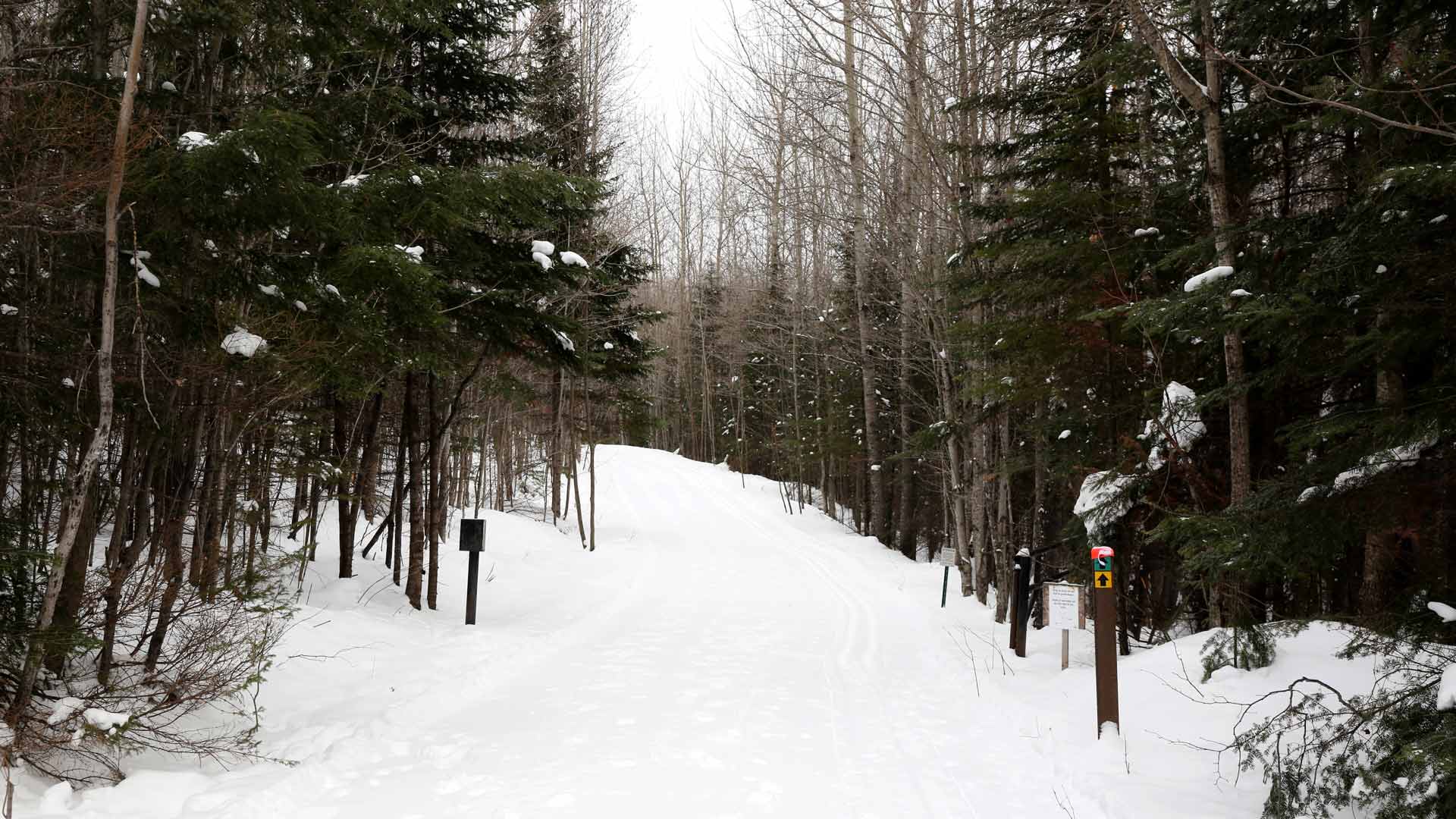 Winter path through Catherine Wolter Wilderness Area in Vilas County, WI