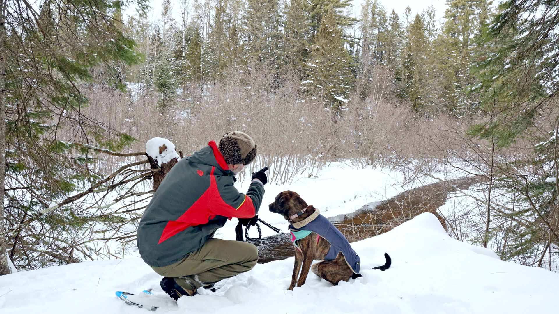 Snowshoer with dog points to winter forest