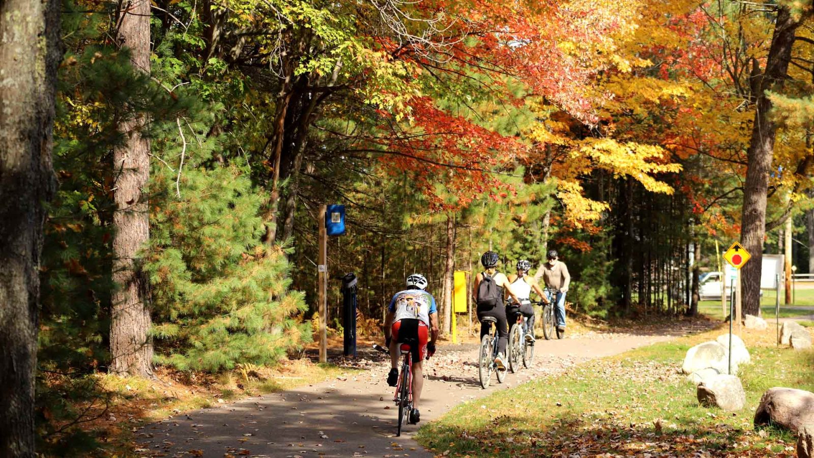 Cyclists riding through a fall forest