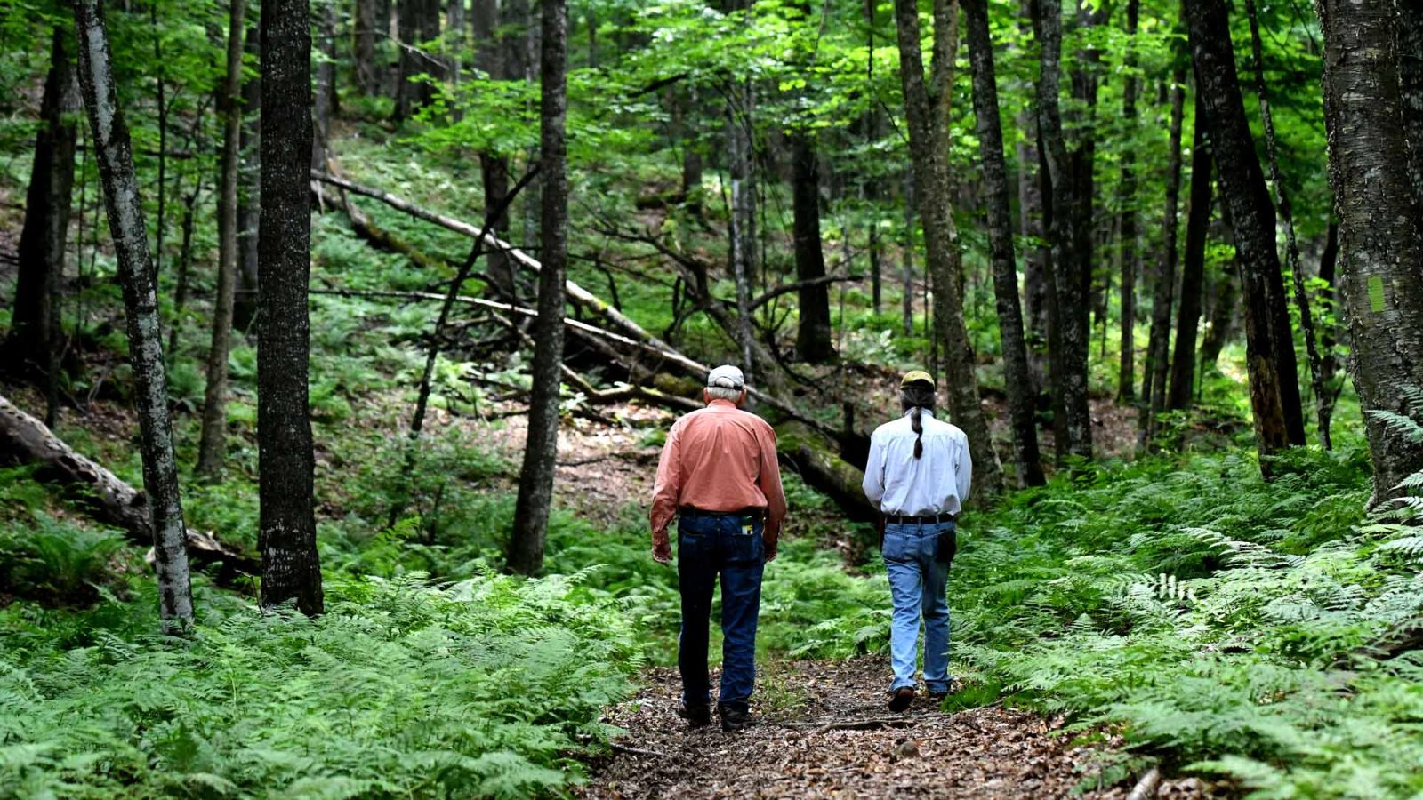 pair hiking in Van Vliet Hemlocks in Vilas County, Wisconsin