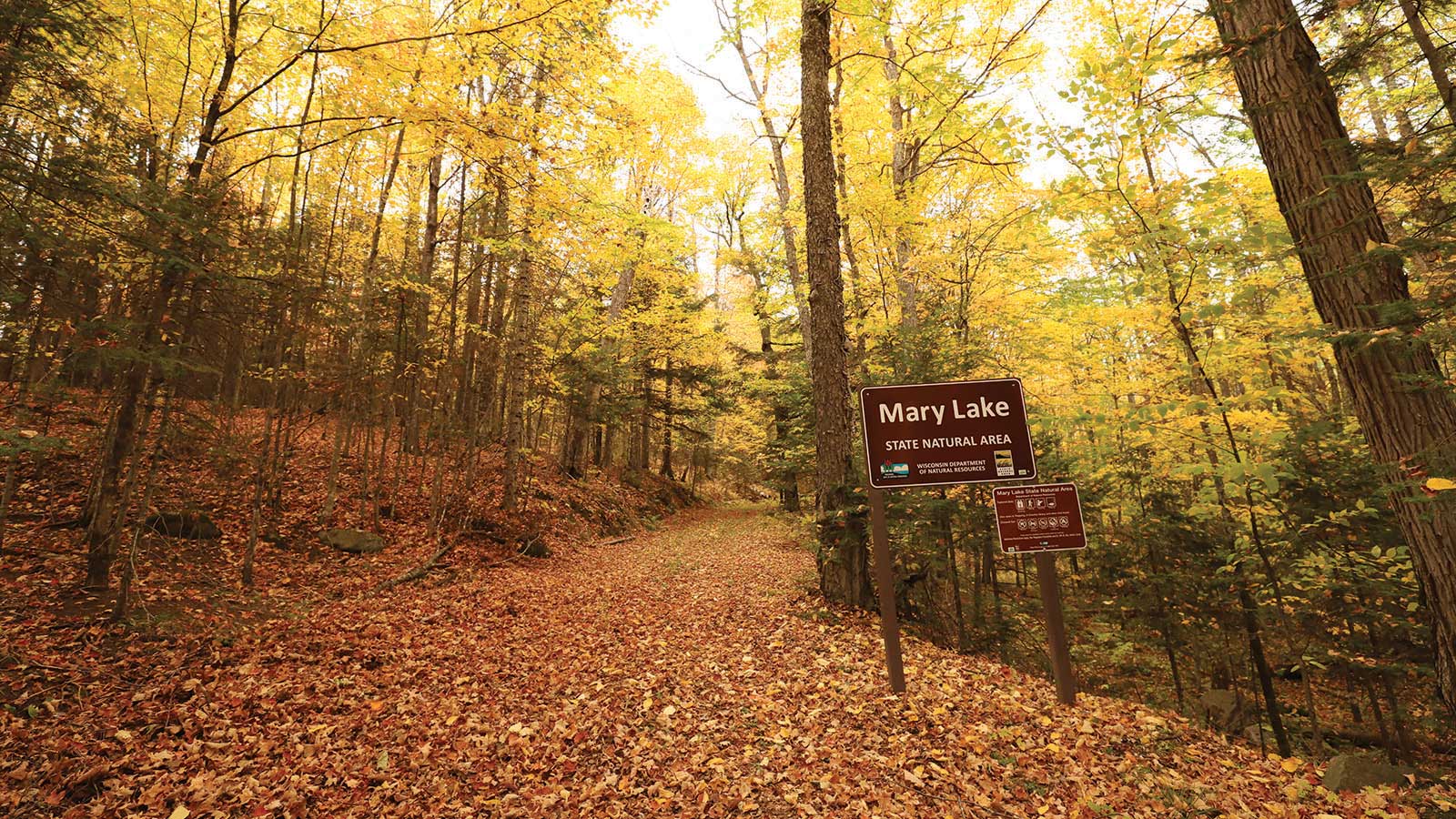 Trail sign at Mary Lake Natural Area Vilas County