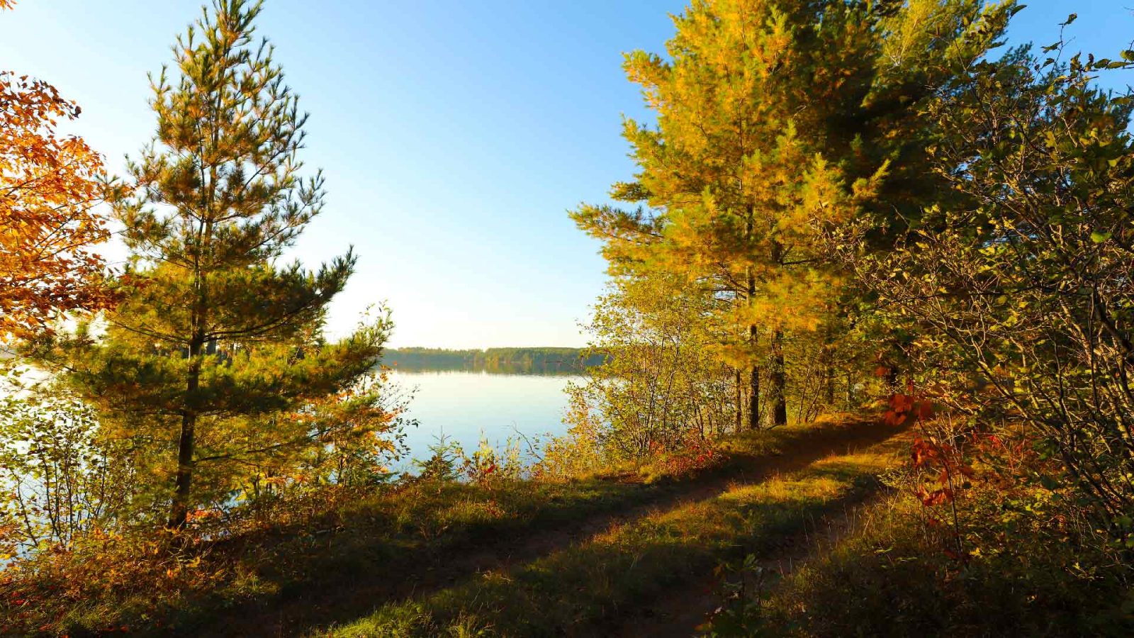 The Trampers Trails are located in the Plum Lake Hemlock Forest, along the shoreline of Star Lake in Vilas County, Wisconsin.