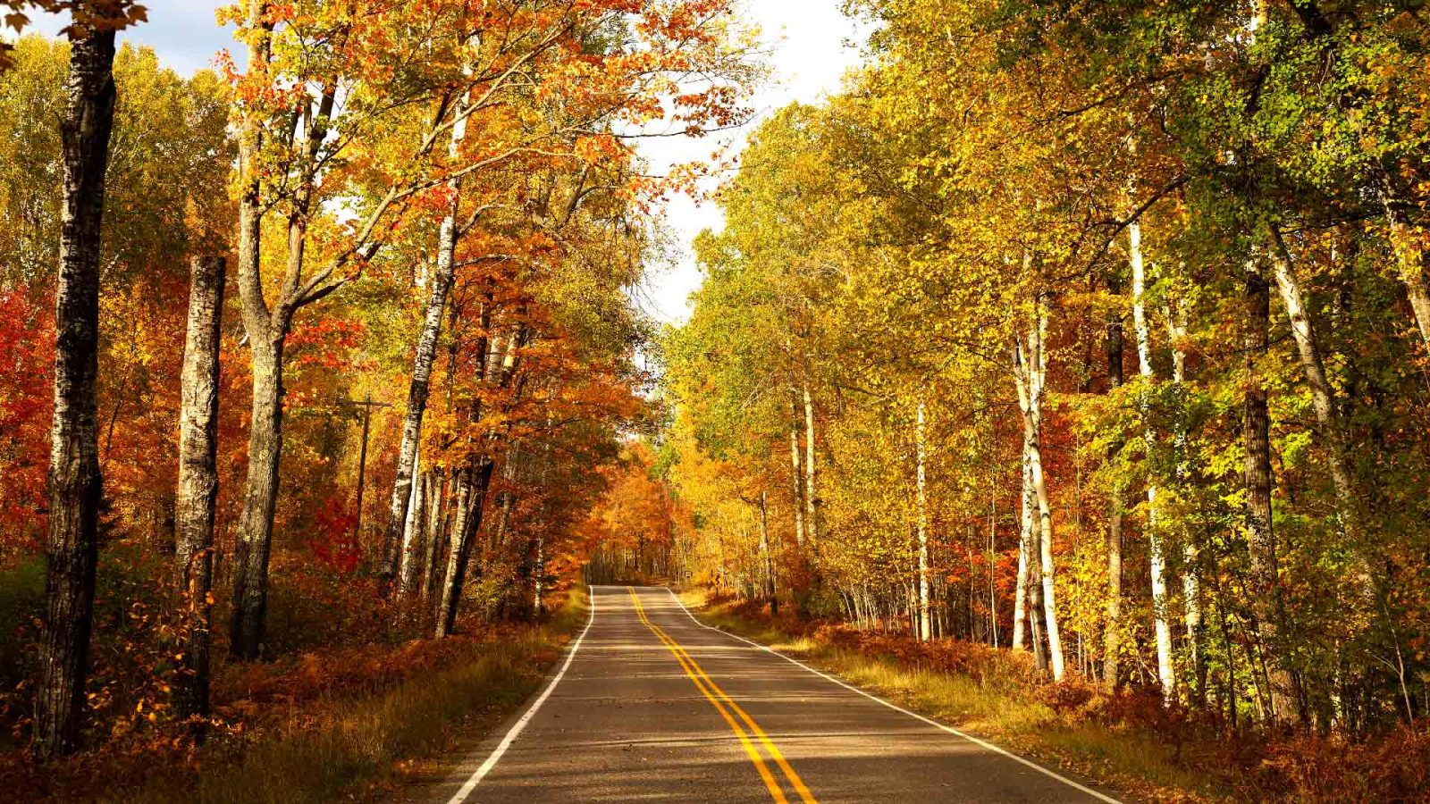 Scenic County Road P near Winchester, Wisconsin, is a beautiful place for a fall drive.