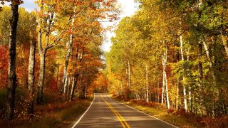 What to do in fall in Vilas County - Vilas County, WI