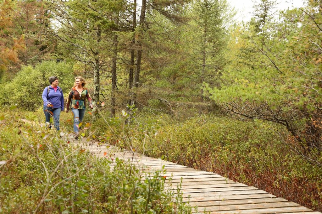 Camping - Vilas County, WI