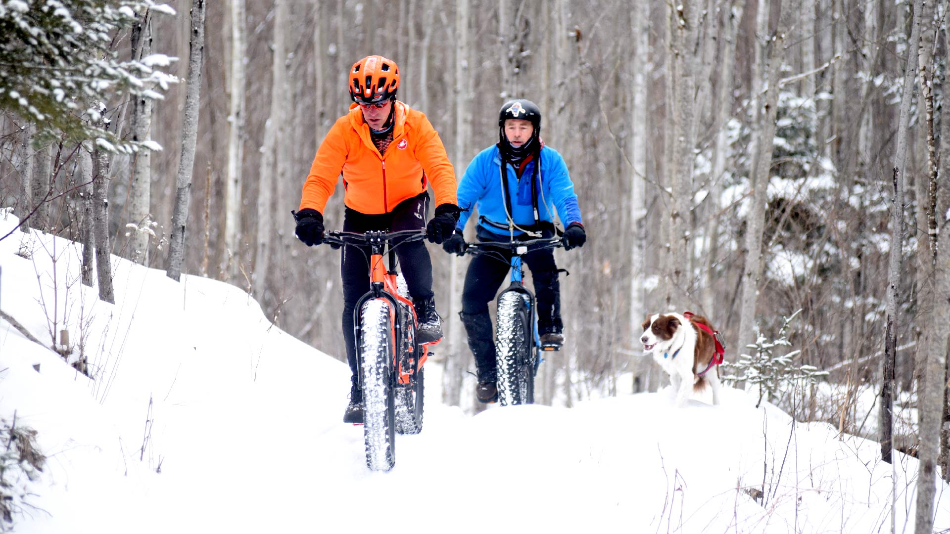 Fat biking and skijorning inthe Winman trails in Vilas County, WI.