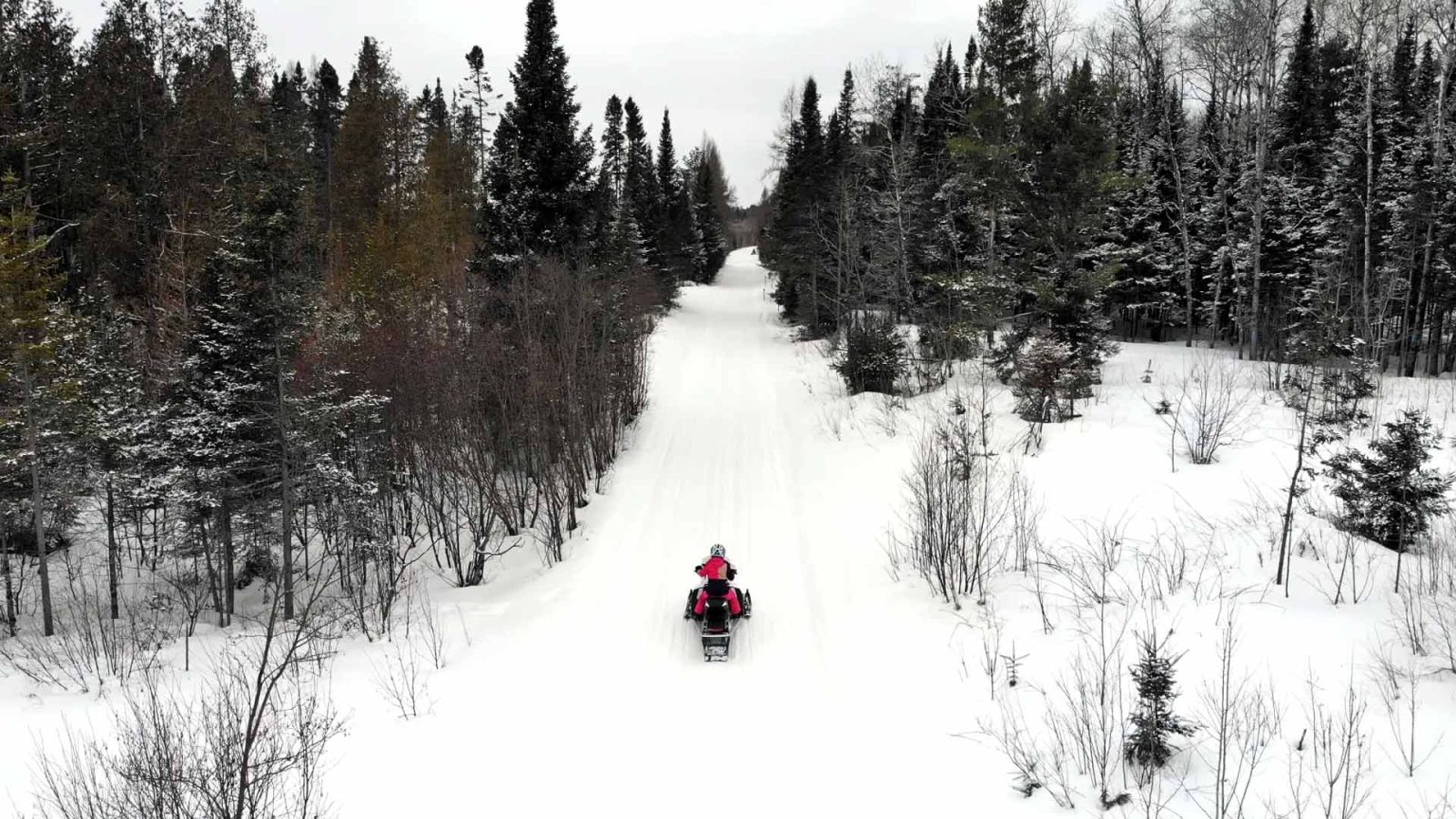 Snowmobiling through the woods in Vilas County, Wisconsin