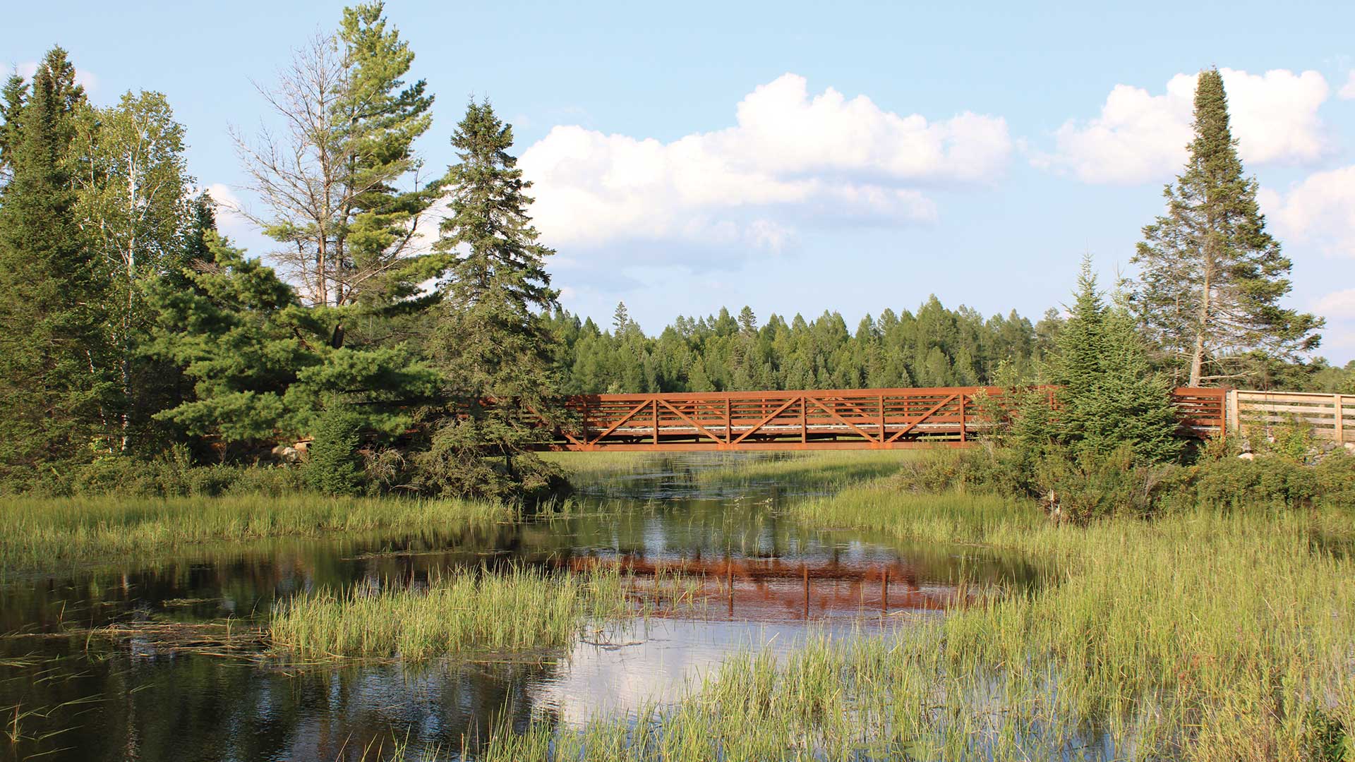 Bridge over water tucked between trees on the Heart of Vilas Trail