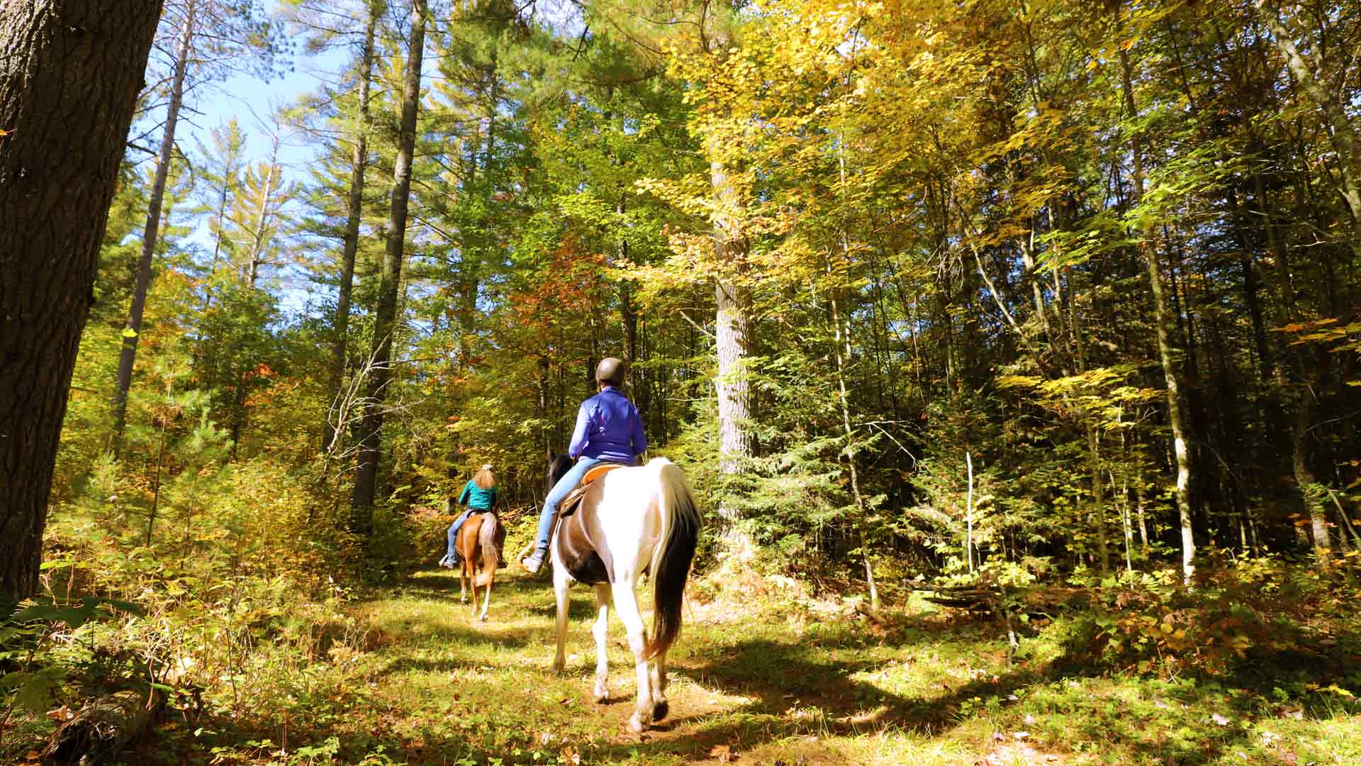 Horseback riding on the River Road Equestrian Campground in Vilas County, Wisconsin.