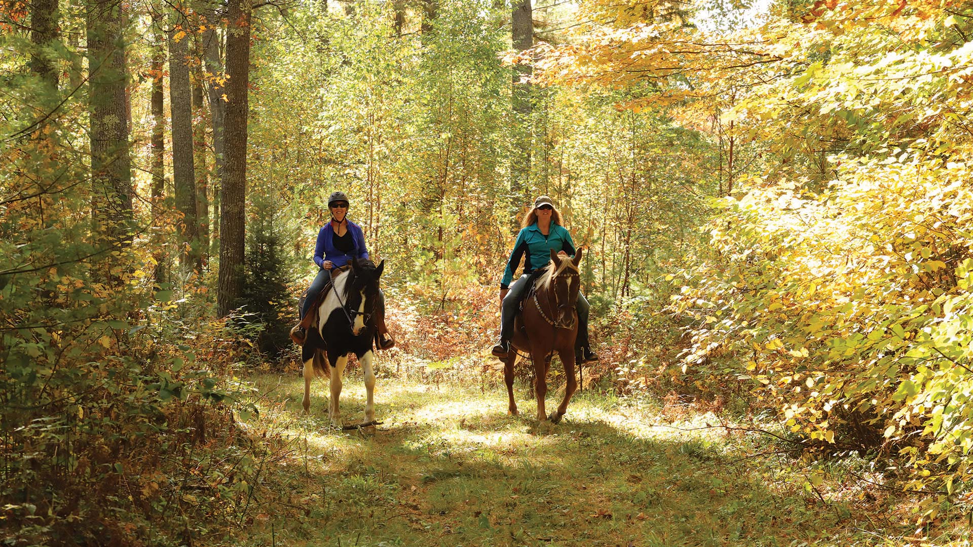 River Road Equestrian in fall
