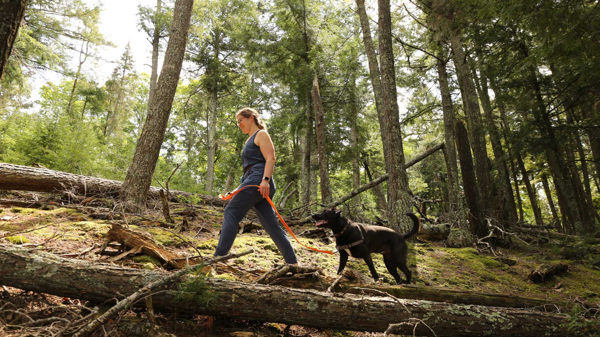 Gril hiking with her dog on Trampers Trail
