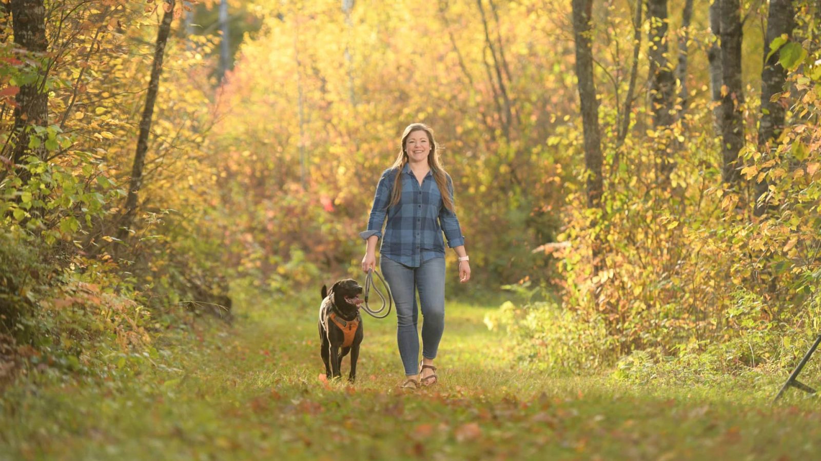 Woman and dog walking on Shannon Trail in Vilas County WI in fall