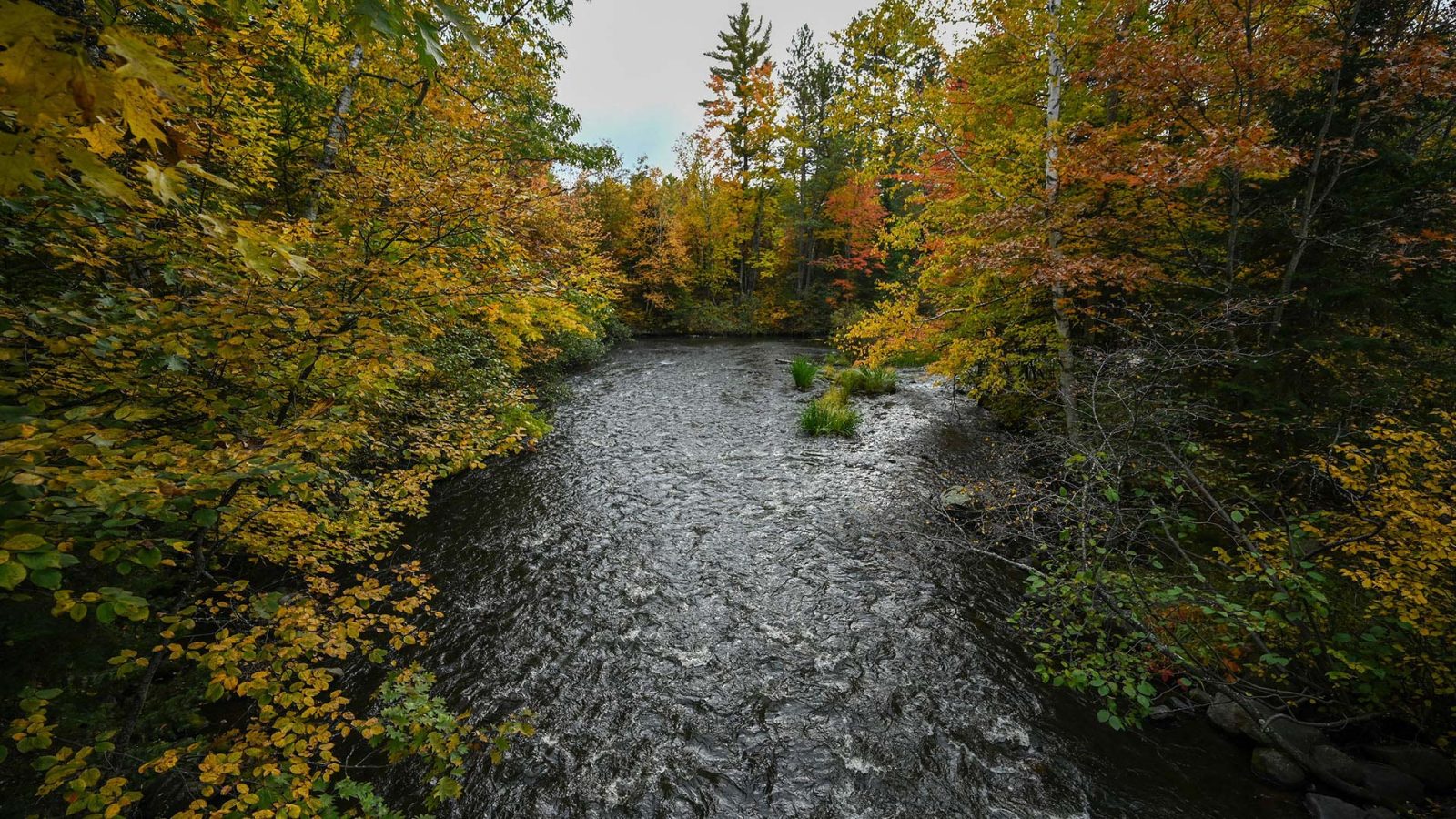 Public-access lakes where you can boat, canoe & kayak in Vilas County ...