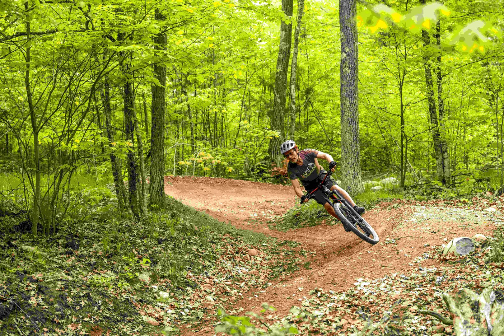 Man riding mountain bike on woodland trail