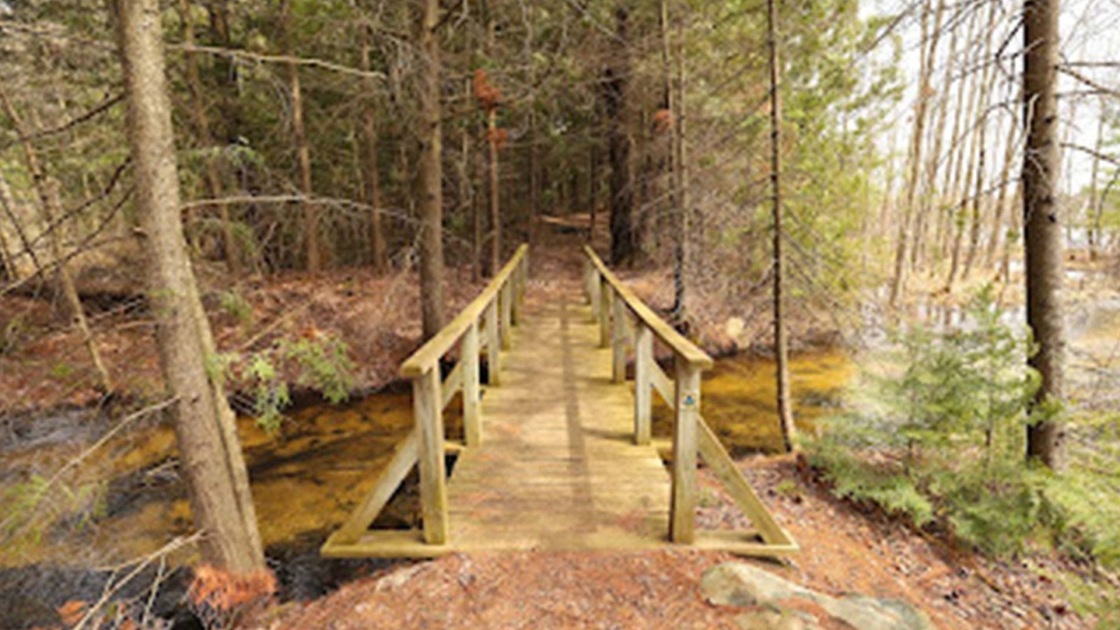 Bridge passing over a creek on Hidden Lakes Trail