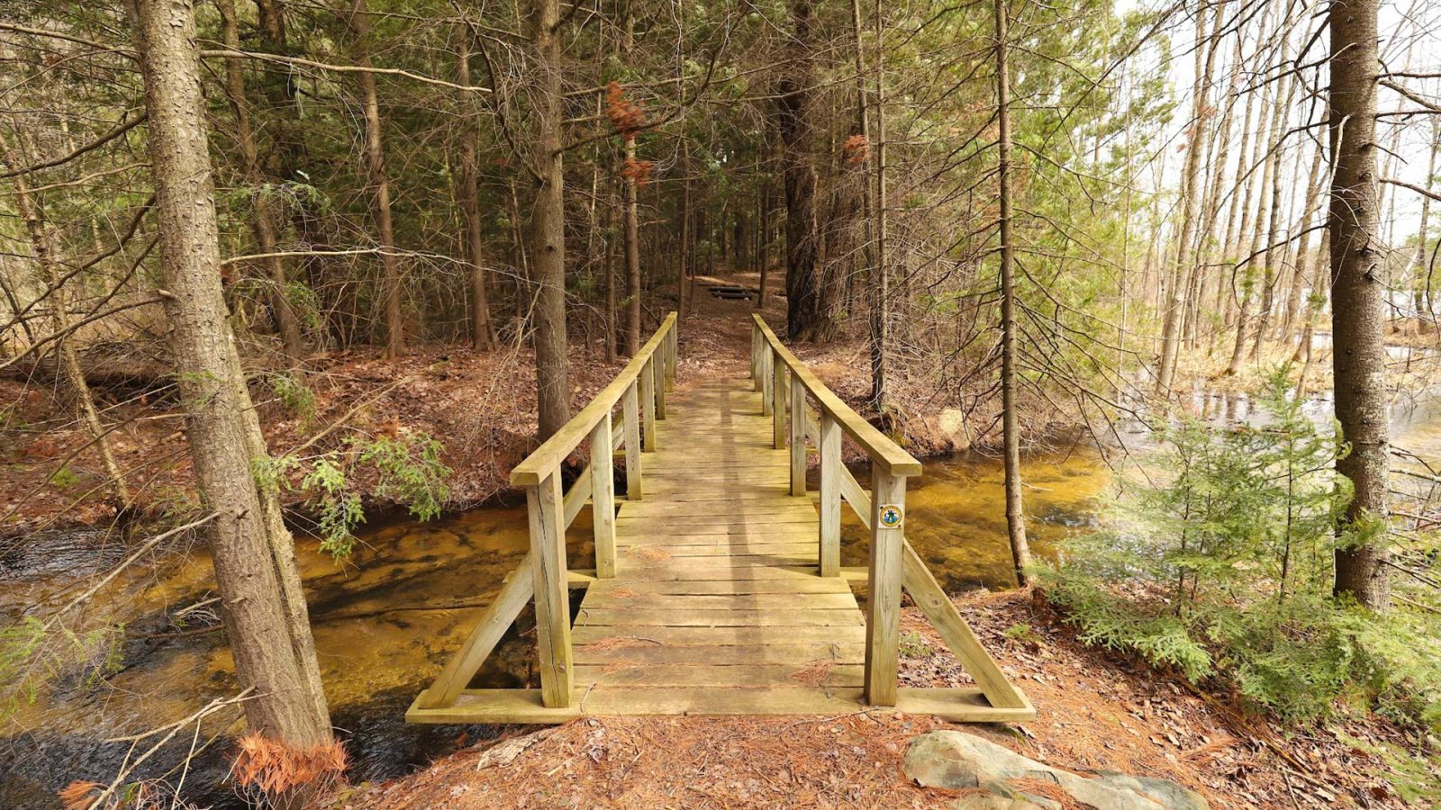 Bridge passing over a creek on Hidden Lakes Trail