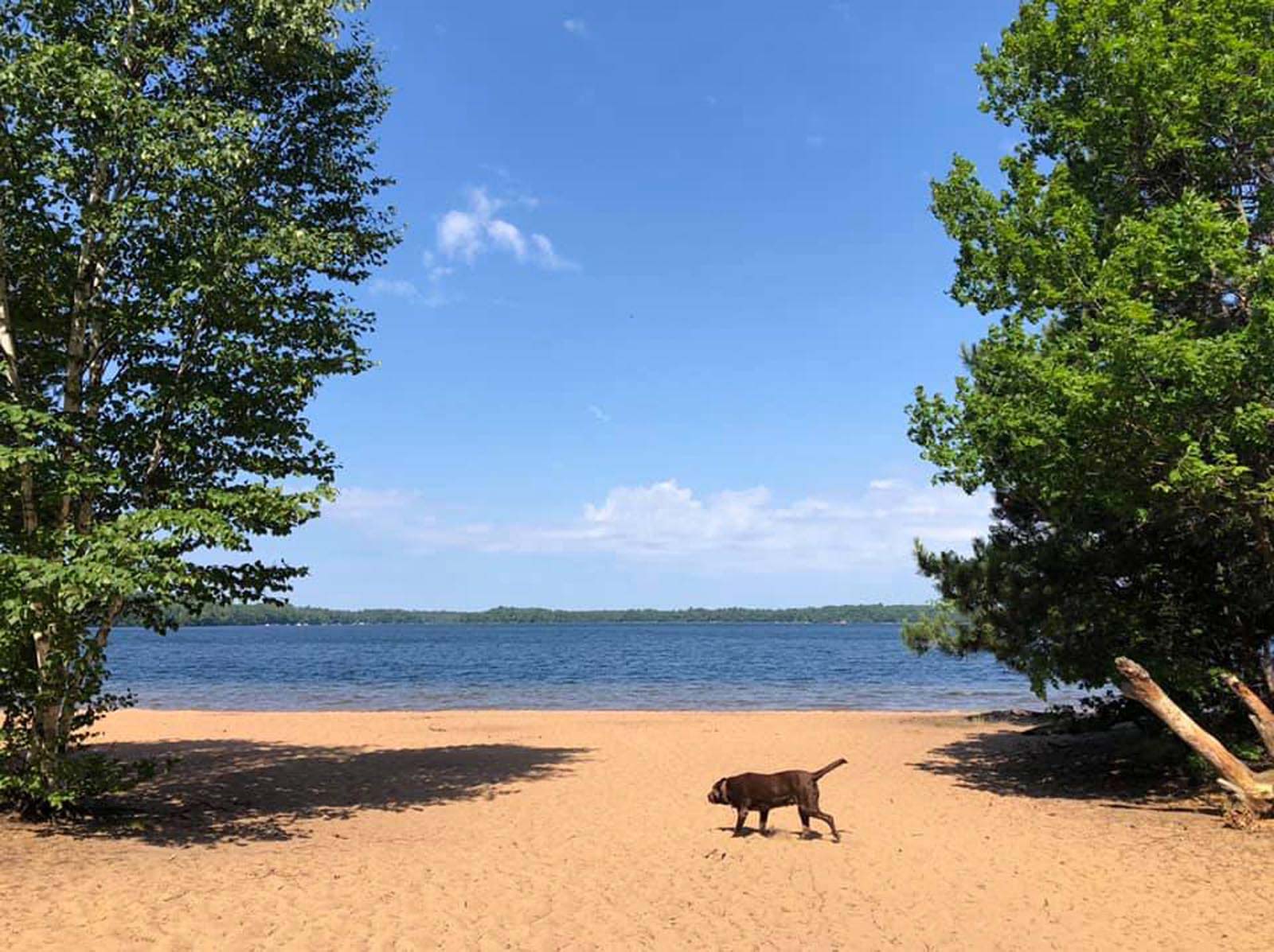 White Sand Lake BOU