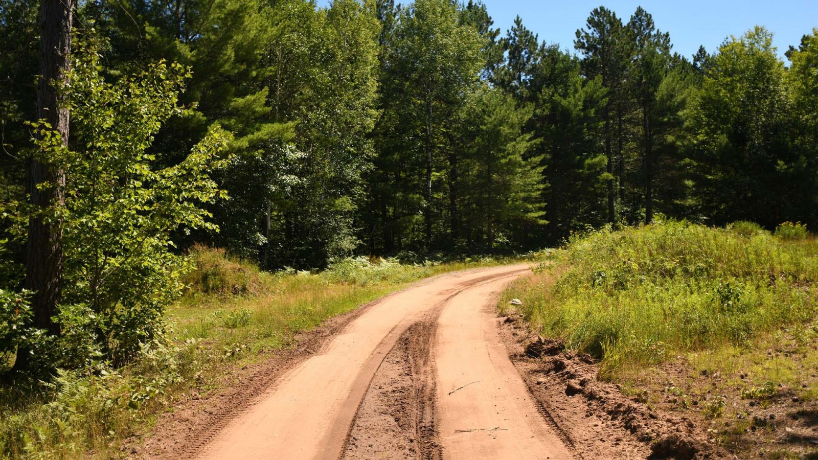 A dirt ATV trail with tread marks in Conover