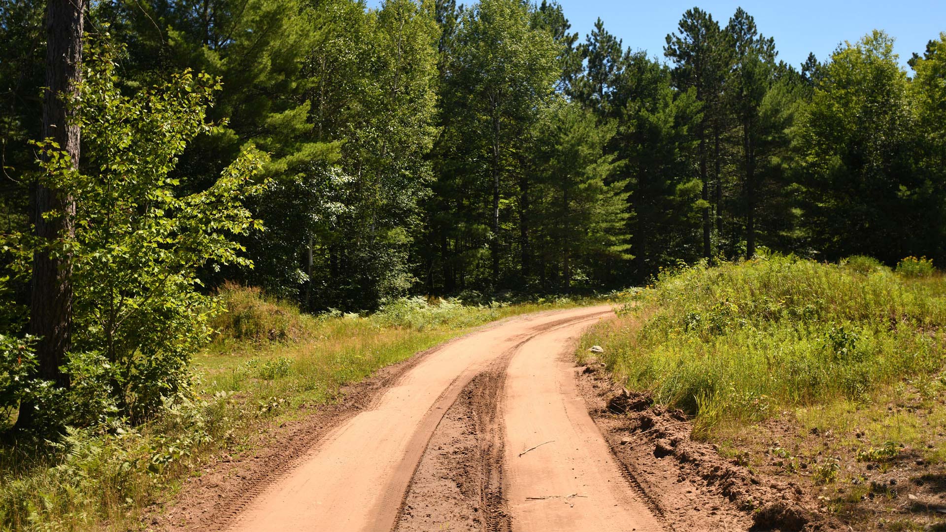 A dirt ATV trail with tread marks in Conover
