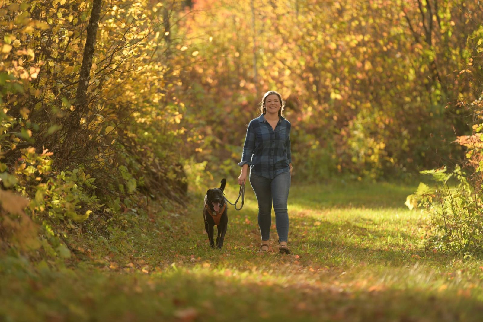 woman walking her dog on the Shannon Trail in St. Germain in Vilas County Wisconsin in fall
