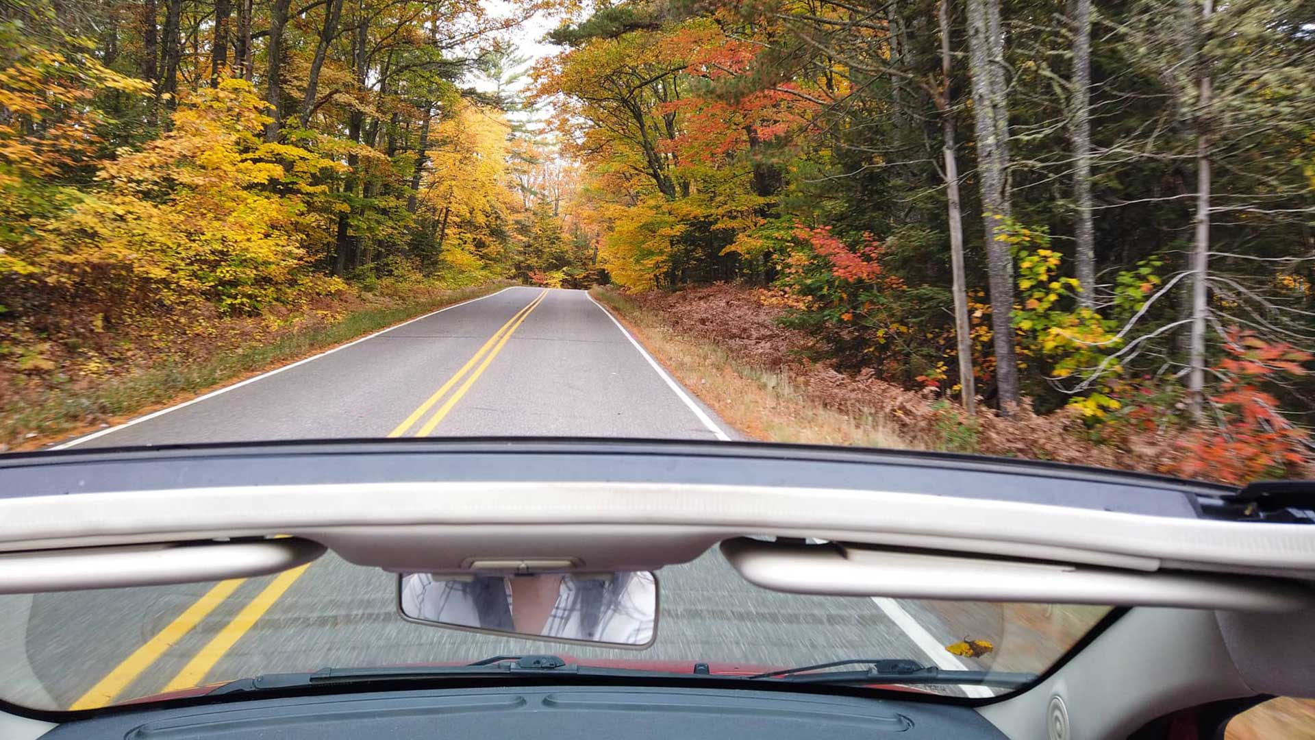 Photo from inside of a convertible driving through fall colors along Rustic Road 60 near Star Lake in Vilas County Wisconsin